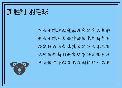 新胜利 羽毛球