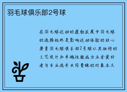 羽毛球俱乐部2号球