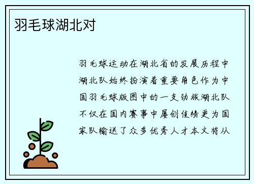 羽毛球湖北对